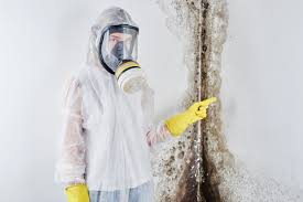 Mold Remediation for Vacation Homes in Gasport, NY